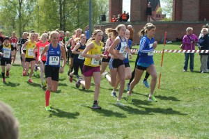 2014 DM Nässjö